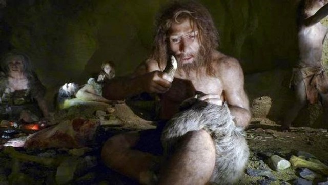 neanderthal