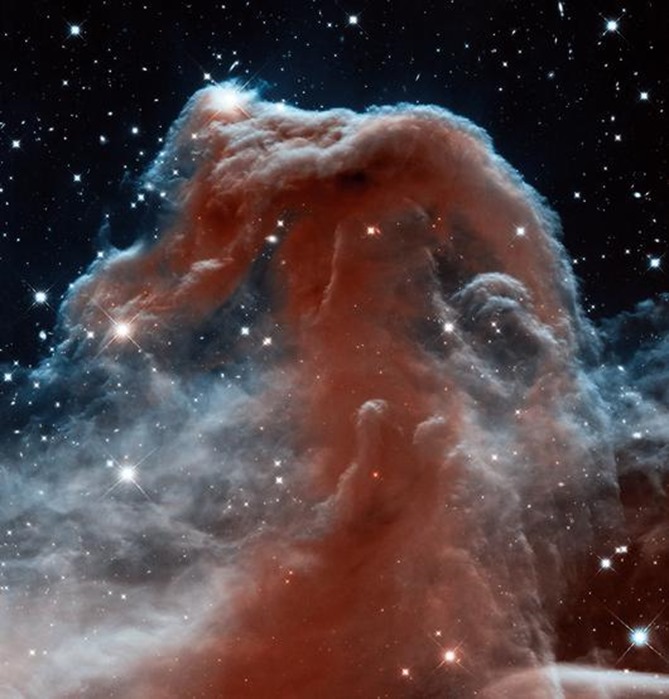 ZOLT:
Horsehead Nebula Infrared http://hubblesite.org/newscenter/archive/releases/2013/12/image/a  The infrared image of the Horsehead Nebula provides a very different view of a very familiar subject in unprecedented detail, and turned out to be a very popular image.  This also serves as a preview of results expected from the James Webb Space Telescope (JWST), HST's upcoming scientific successor.
-
<p>Looking like an apparition rising from whitecaps of interstellar foam, the  iconic Horsehead Nebula has graced astronomy books ever since its  discovery over a century ago. The nebula is a favorite target for amateur  and professional astronomers.</p> <p>In this new Hubble Space Telescope view, the nebula appears in a new  light, as seen in infrared wavelengths. The nebula, shadowy in optical  light, appears transparent and ethereal when seen in the infrared,  represented here with visible shades. The rich tapestry of the Horsehead  Nebula pops out against the backdrop of Milky Way stars and distant  galaxies that are easily seen in infrared light.</p> <p>The Horsehead was photographed in celebration of the 23rd anniversary  of the launch of Hubble aboard the space shuttle Discovery. Over its two  decades of producing ground-breaking science, Hubble has benefited  from a slew of upgrades, including the 2009 addition of a new imaging  workhorse: the high-resolution Wide Field Camera 3 that was used to  take this portrait of the Horsehead.</p> <p>The backlit wisps along the Horsehead's upper ridge are being  illuminated by Sigma Orionis, a young five-star system just off the top of  the Hubble image. A harsh ultraviolet glare from one of these bright stars  is slowly evaporating the nebula. Along the nebula's top ridge, two  fledgling stars peek out from their now-exposed nurseries.</p> <p>Gas clouds surrounding the Horsehead have already dissipated, but the  tip of the jutting pillar contains a slightly higher density of hydrogen and  helium, laced with dust. This casts a shadow that protects material  behind it from being photo-evaporated, and a pillar structure forms.  Astronomers estimate that the Horsehead formation has about five  million years left before it too disintegrates.</p> <p>The Horsehead Nebula is part of a much larger complex in the  constellation Orion. Known collectively as the Orion Molecular Cloud, it  also houses other famous objects such as the Great Orion Nebula (M42),  the Flame Nebula, and Barnard's Loop. At about 1,500 light-years away,  this complex is one of the nearest and most easily photographed regions  in which massive stars are being formed.</p> <p>Hubble's pairing of infrared sensitivity and unparalleled resolution offers  a tantalizing hint of what the upcoming James Webb Space Telescope, set  for launch in 2018, will be able to do.</p> <p><strong>For more information about the Horsehead Nebula, contact:</strong></p> <p>Ray Villard   <br />   Space Telescope Science Institute, Baltimore, Md.   <br />   410-338-4514   <br />   <a href="mailto:villard@stsci.edu">villard@stsci.edu</a> </p> <p>Zolt Levay   <br />   Space Telescope Science Institute, Baltimore, Md.   <br />   410-338-4907   <br />   <a href="mailto:levay@stsci.edu">levay@stsci.edu</a> </p> <p>&nbsp;</p>