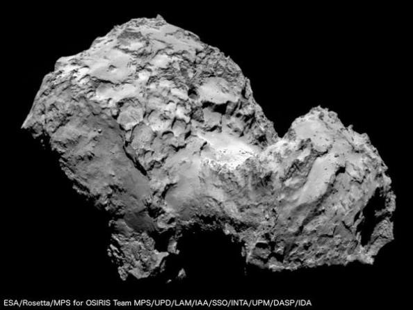 rosetta1