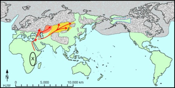 migration-north-early