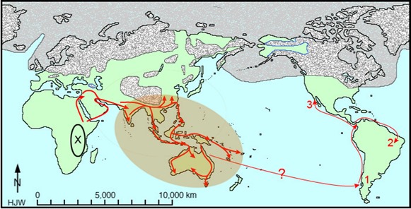 migration-south