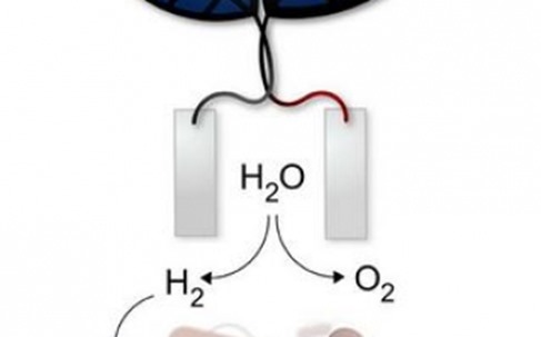 bionic-leaf-converts-sunlight-into-liquid-fuel