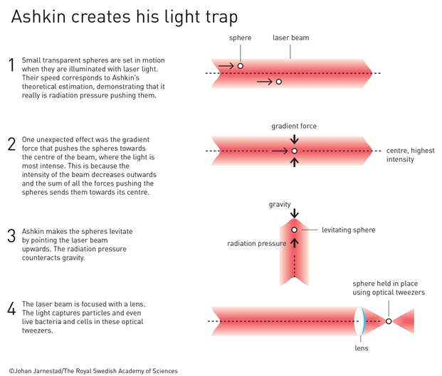 askin-light-trap