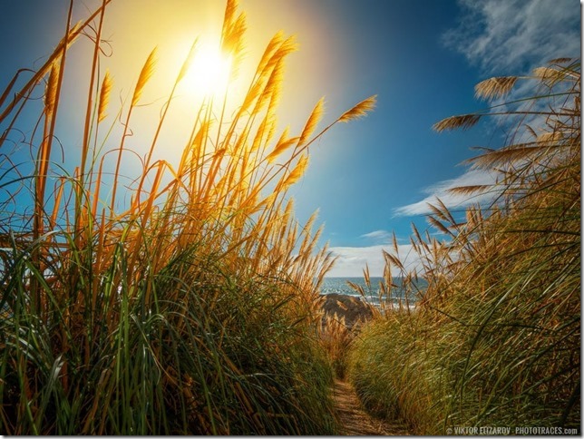 California_Path_to_Greyhound_Rock