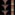 Penrose_Idea_conformal_cyclic_cosmology